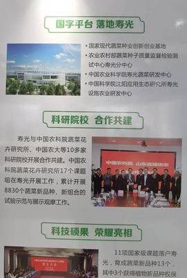 院士來了，國字號科研院所也來了——生態環境高水平保護推動經濟高質量發展看濰坊見聞